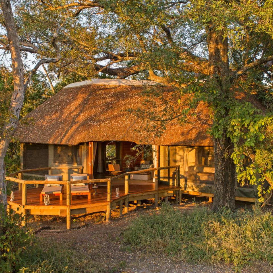 Camp Moremi